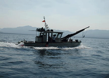 Anchorage Bouy South Lake Tahoe City Homewood